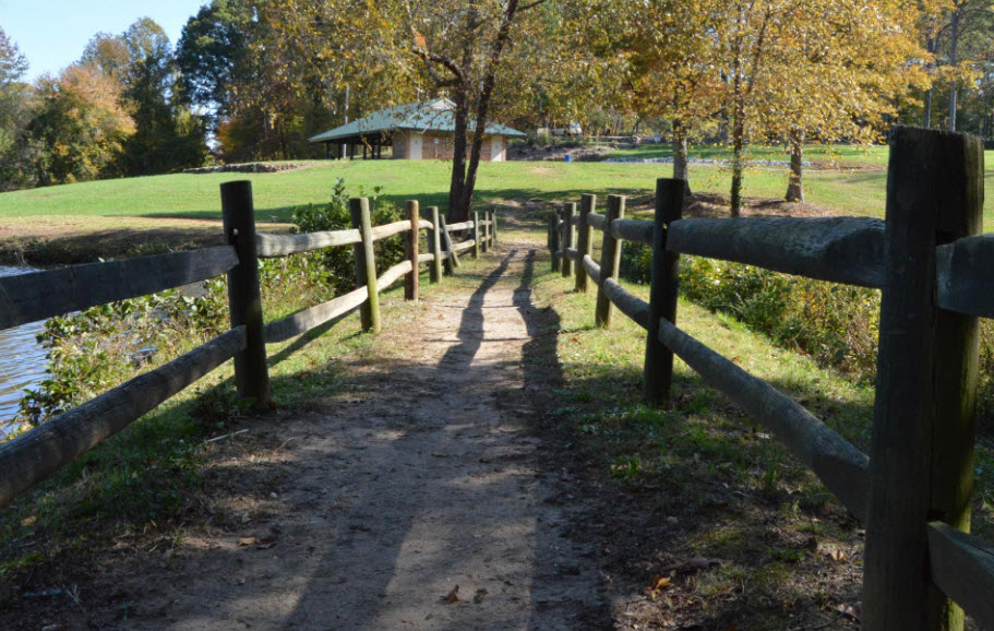 The Bog Garden at Benjamin Park, United States